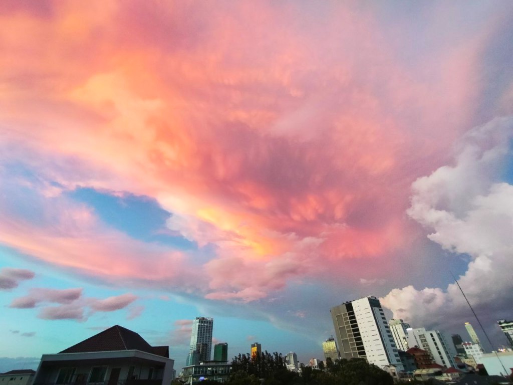 Principles of the&nbsp;soul